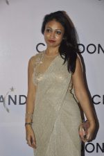 Surily Goel at Moet Hennesey launch of Chandon wines made now in India in Four Seasons, Mumbai on 19th Oct 2013